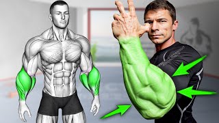 5 Best Exercises for Bigger Forearms Workout [upl. by Nananne]