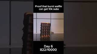 Proof that burnt waffle can get 10k subs Day 6 memes shorts waffle [upl. by Eeleak604]