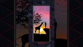 Boy And Giraffe wander foul moment picsart shorts video editing tutorial [upl. by Lavinie]