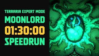 Terraria  Expert Mode Speedrun Moonlord in 90 minutes no major glitches [upl. by Rodgers846]