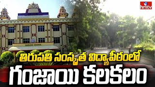 Ganja In National Sanskrit University  తిరుపతి సంస్కృత విద్యాపీఠంలో గంజాయి కలకలం  hmtv [upl. by Aay301]