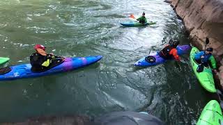 Grand Canyon Colorado swims [upl. by Nedaj]