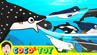 Watch out Its a Sharkㅣsharks amp whales for kidsㅣCoCosToy [upl. by Taro]