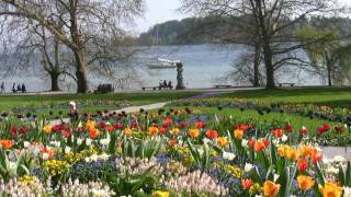 Frühling auf der Insel Mainau [upl. by Licht]