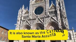 Exploring the city of Siena amp the Siena Cathedral Italy’s Gothic Masterpiece [upl. by Nee]