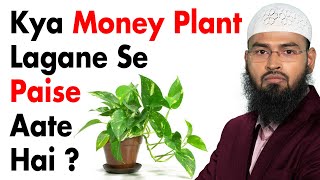 Money Plant Lagane Se Kya Paise Aate Aur Tawhaam Ka Kya Mamla Hai By Adv Faiz Syed [upl. by Jann]