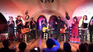 Flamenco Barcelona  Fin de Fiesta Tablao Cordobes Familia Tomatito [upl. by Wennerholn]