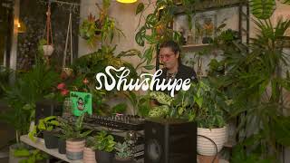 Tropical set en la Muyita by Shushupe [upl. by Amena]