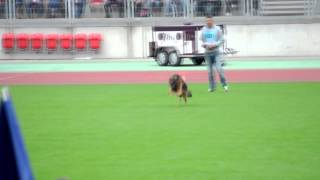 TSB  BSZS 2014  1027 Mentos v Osterberger Land [upl. by Tray174]