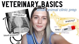 VETERINARY BASICS Things you should know before going into a clinic     Vet School [upl. by Sert624]