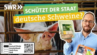 Fleisch aus guter Haltung – brauchen wir das staatliche Tierwohllabel I Ökochecker SWR [upl. by Enitsenrae378]