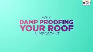 Why damp proofing your roof is important [upl. by Dnomed]