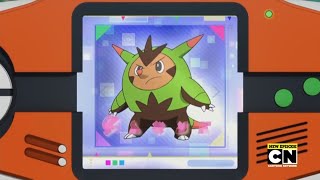 Quilladin Pokédex Entrywmv [upl. by Eirrek]