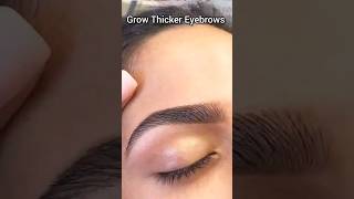 How To Grow Thick Eyebrows Naturally 💯  shorts thickeyebrows diy homeremedies viral [upl. by Simah57]