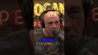 Creepy SelfCensorship The Hidden Costs of Deplatforming  Joe Rogan  Shawn Ryan [upl. by Llednov]