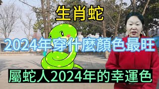 生肖屬相蛇！屬蛇人在2024年穿什麼顏色最旺？生肖屬蛇人2024年幸運色是什麼！本期視頻講述2024生肖蛇！運勢 顏色 風水 2024 [upl. by Nhar]