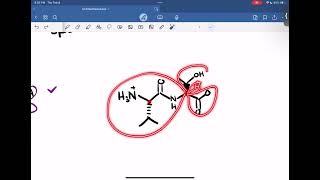 CHEM 285  Stereochemistry  Isomers [upl. by Keli]