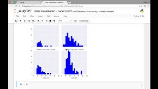 Seaborn FacetGrid Part 1 [upl. by Najtsirk]