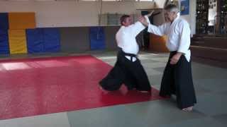 1 Kyu  Tachi Waza  Ushiro Katate Dori Kubi Shime  Shiho Nage Omote [upl. by Proctor]