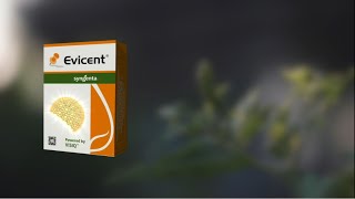 Evicent TVC Telugu  2022  Syngenta [upl. by Aihsrop]