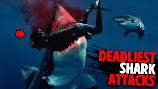 Deadliest Shark Attacks of 2022 MARATHON [upl. by Rab224]