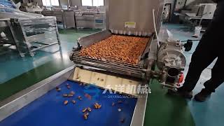 Automatic Chinese torreya  Torreya grandis  Peeling Processing Line [upl. by Kyriako60]