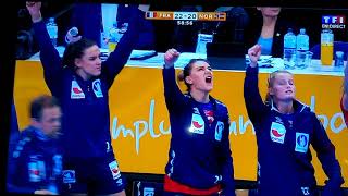 Finale handball féminine 2017 France  Norvège [upl. by Rolyak433]