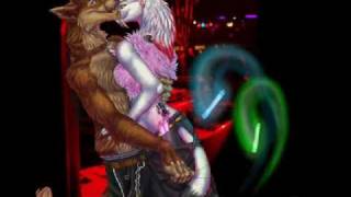 Furry Rave  Numa Numa [upl. by Koch]