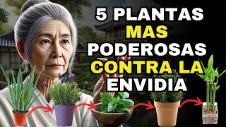 ¡Quieres Alejar la ENVIDIA SIEMBRA estas 5 PLANTAS  Enseñanzas budistas [upl. by Tiphanie839]