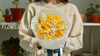 프리지아 꽃다발│Freesia Bouquet│How To Make A Bouquet│Handtied and Wrapping│입학식 졸업식 꽃다발 [upl. by Sherborne535]