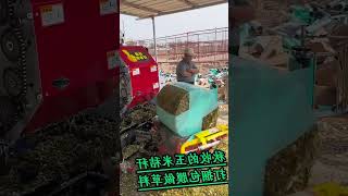 Silage baler fermentation storage random stacking can be used regardless of the environment [upl. by Yelyah]