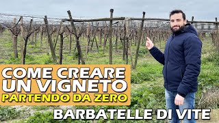 COME CREARE UN VIGNETO PARTENDO DA ZERO CON LE BARBATELLE [upl. by Lacefield]