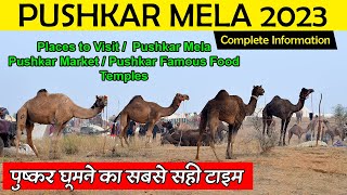 Pushkar Mela 2023 Pushkar Camel Fair Mela 2023 – पुष्कर मेला 2023 – Tourists Places Pushkar [upl. by Satsoc]