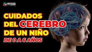 CUIDADOS DEL CEREBRO en la primera infancia  Cómo cuidar el cerebro de un niño de 0 a 6 años [upl. by Sonnnie]