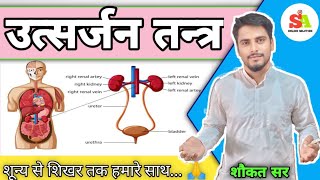 Excretory system  उत्सर्जन तंत्र  class 10 biology chapter 1 [upl. by Llevad]