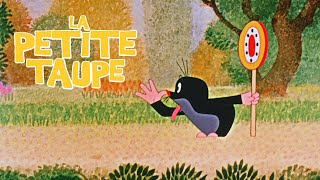 La Petite Taupe  Bande annonce [upl. by Narine]