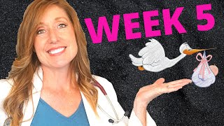 What are 5 week pregnancy symptoms PLUS you baby development and your first OB appointment [upl. by Montgomery746]