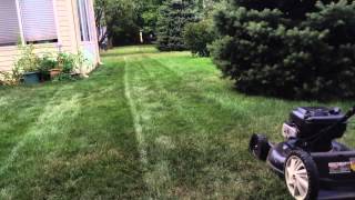 September Lawn Cutting Video at My Grandparents House 2 [upl. by Aihsetan]