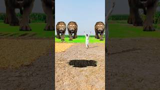 VFX short long lion video Vellaarain54 flying video magic video [upl. by Einnaj]