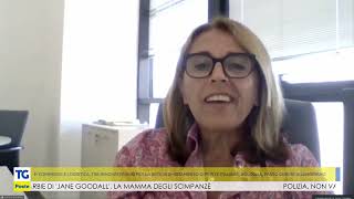 Ecommerce le innovazioni di Poste al servizio della logistica [upl. by Aerua]