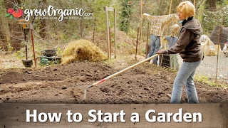 How to Start a Garden [upl. by Vatsug]