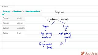 Foramen of Panizzae is found in the heart of [upl. by Aracaj]