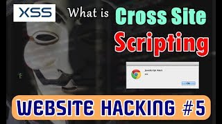 HINDI What is Cross Site Scripting  Hacking Websites with JavaScript  XSS Types and Threats [upl. by Entruoc837]