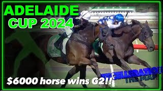 2024 Adelaide Cup won by 6000 horse [upl. by Lirrad738]