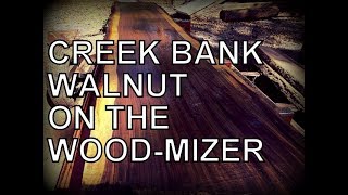 SAWING AMAZING CREEK BANK WALNUT ON THE WOODMIZER [upl. by Imas]