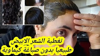 تغطية الشعر الابيض بدون صباغة حنة طبيعية تعطي لون اسود للشعر الابيض صحية امنة على الشعر والصحة [upl. by Anaehr]