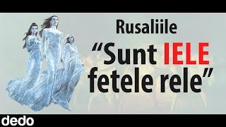 Rusaliile  Povestea ielelor [upl. by Erait451]