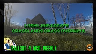 FALLOUT 4 MIGLIORIE  IMPROVEMENT MODLush landascape  GRASSLANDS [upl. by Akcimahs281]