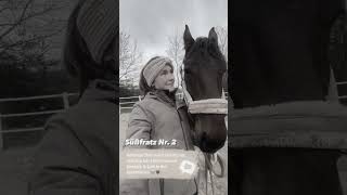 Lass dir Zeit Sandra 🥺 Pilsali equestrian sad goodbye pony horse edit loveyou [upl. by Ayian]