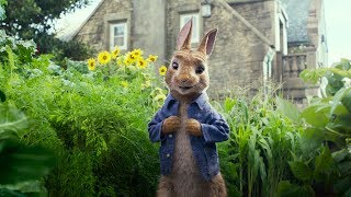 Las Travesuras De Peter Rabbit  Trailer Oficial 2017  Sony Pictures [upl. by Yhtir933]